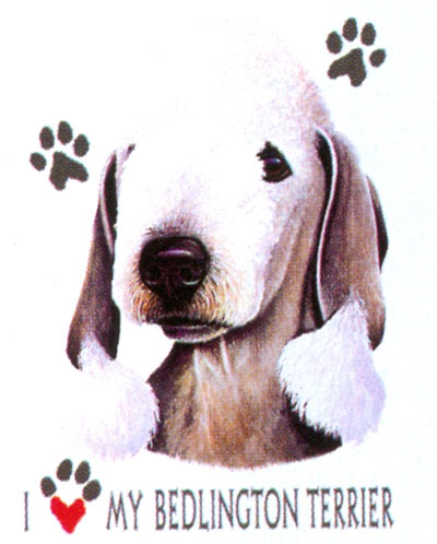 T-shirt med Bedlingtonterrier