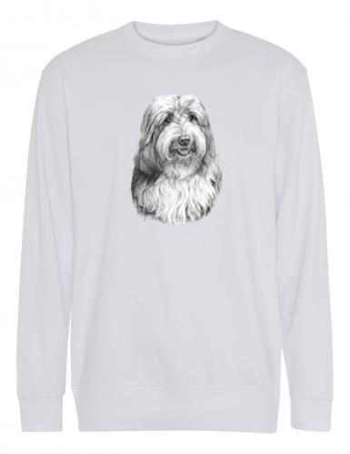 Collegetröja med Bearded Collie