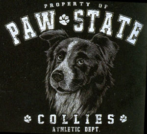 T-shirt med Border Collie