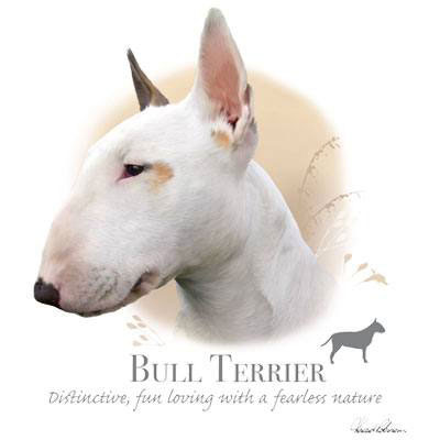 T-shirt med Bullterrier