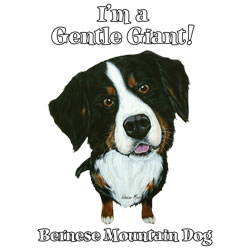 Collegetröja med Berner Sennen