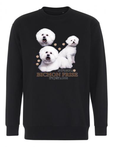 Collegetröja med Bichon Frisé