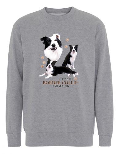 Collegetröja med Border Collie