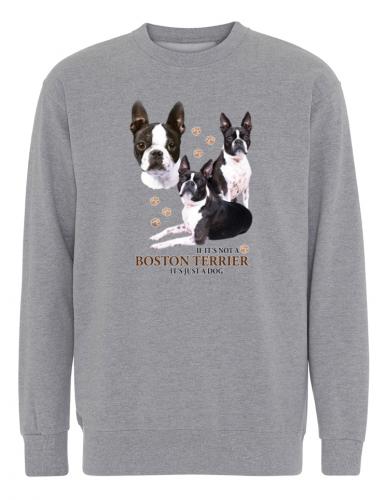 Collegetröja med Bostonterrier