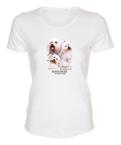 Figursydd t-shirt med Bichon Havanais