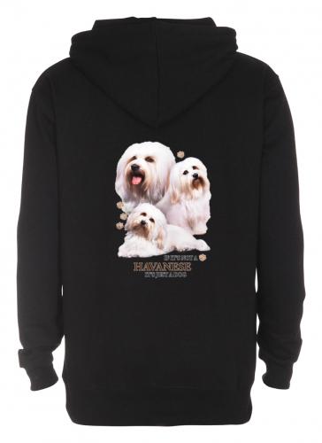 Huvjacka med Bichon Havanais