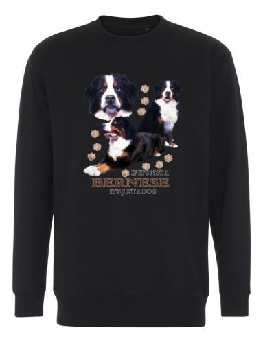 Collegetröja med Berner Sennen