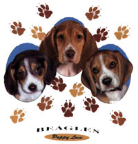 T-shirt i barnstorlek med Beagle
