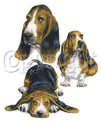 T-shirt med Basset Hound