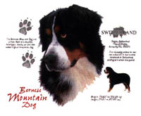 T-shirt i barnstorlek med Berner Sennen