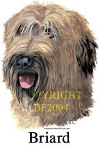 Collegetröja med Briard