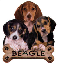 T-shirt i barnstorlek med Beagle