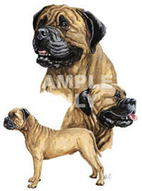 T-shirt i barnstorlek med Bullmastiff
