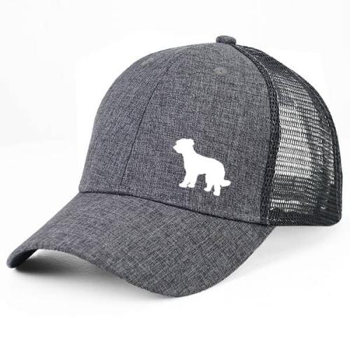 Gråmelerad Keps med Briard