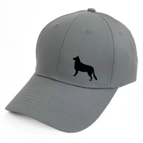 Keps med en Border Collie