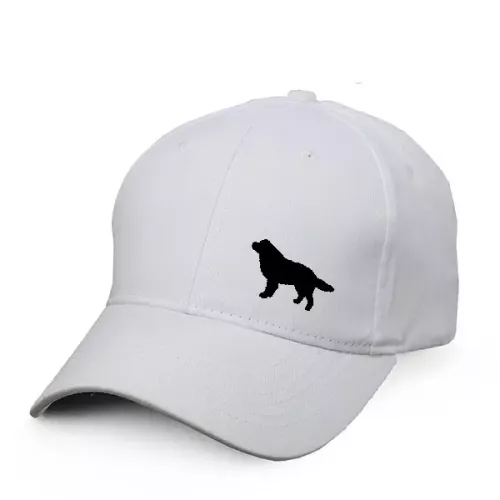 Keps med en Berner Sennen