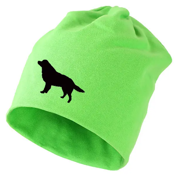 Mössa med Berner Sennenhund