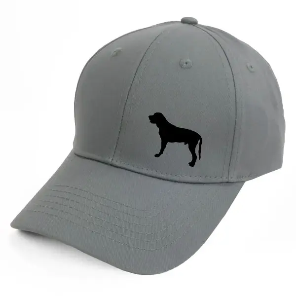 Keps med en Broholmer