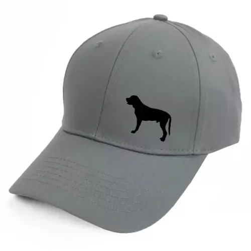 Keps med en Broholmer