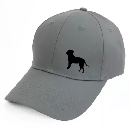 Keps med en Boerboel