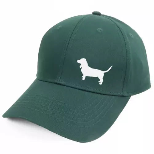 Keps med en Basset Artesien Normand