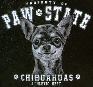 T-shirt med Chihuahua
