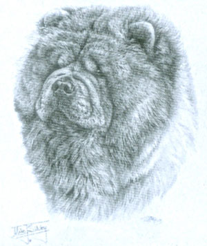 Collegetröja med Chow Chow