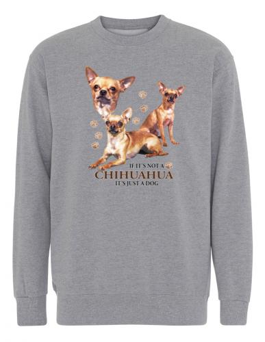 Collegetröja med Chihuahua