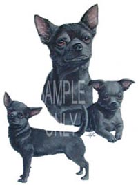 T-shirt i barnstorlek med Chihuahua