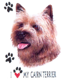 Collegetröja med Cairnterrier