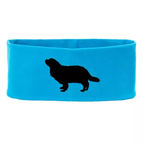 Pannband med Cavalier King Charles Spaniel