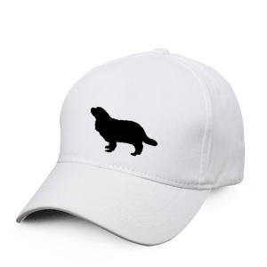 Keps med Cavalier King Charles Spaniel