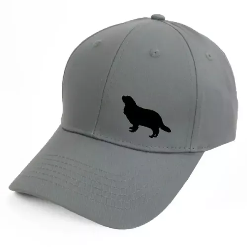 Keps med en Cavalier King Charles Spaniel