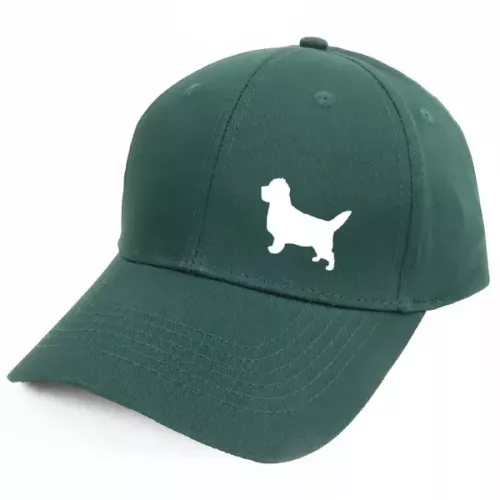 Keps med en Cairnterrier