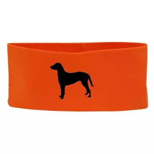 Pannband med Curly Coated Retriever