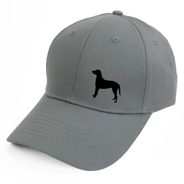 Keps med en Curly Coated Retriever