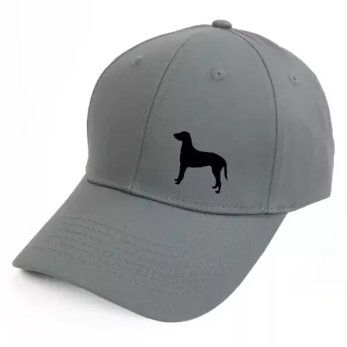 Keps med en Curly Coated Retriever