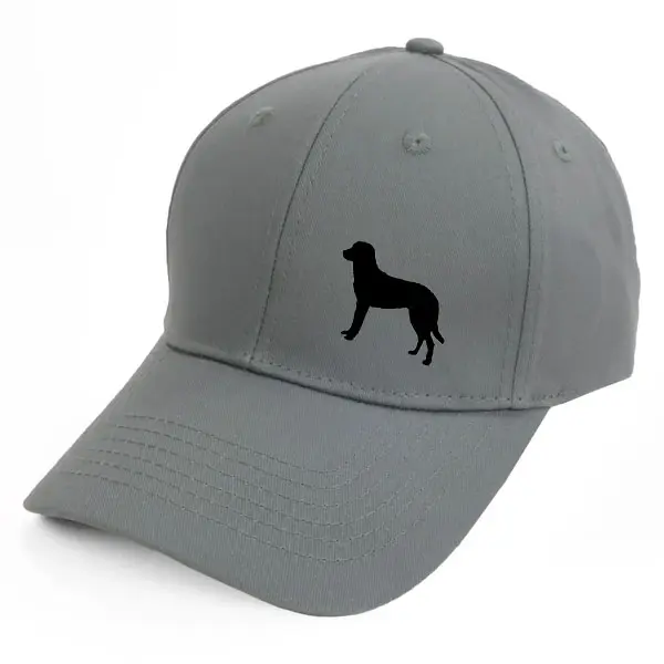 Keps med en Chesapeake Bay Retriever