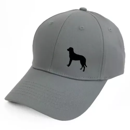 Keps med en Chesapeake Bay Retriever