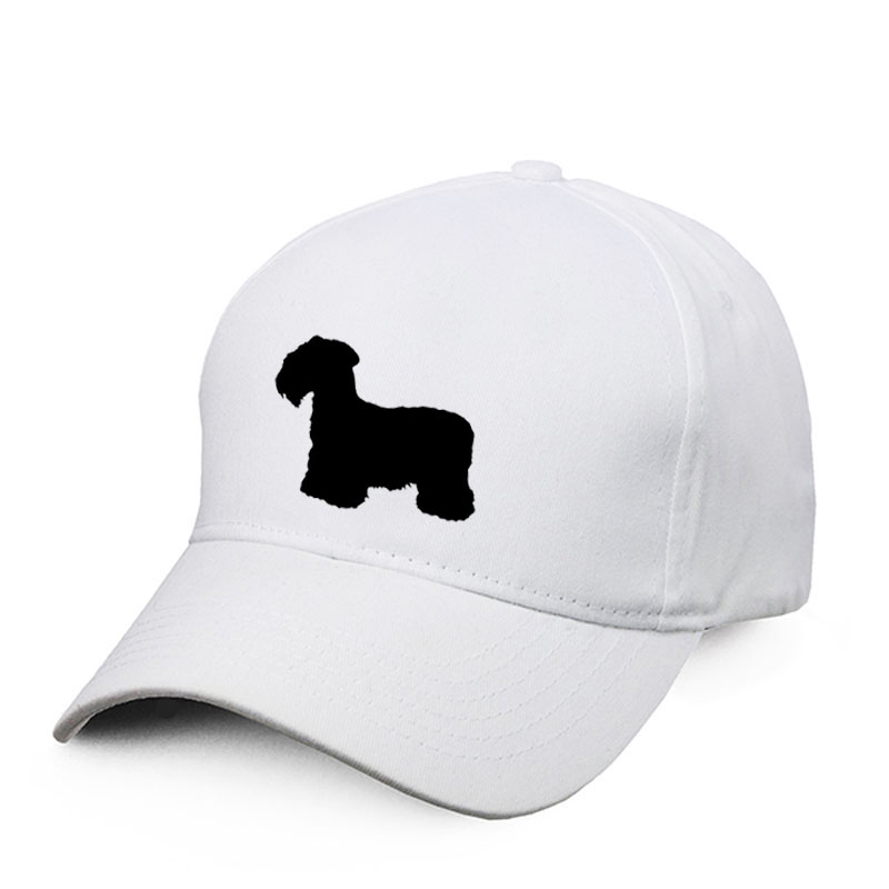 Keps med Ceskyterrier