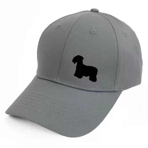 Keps med en Ceskyterrier