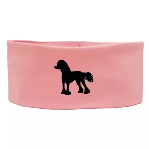 Pannband med Chinese Crested