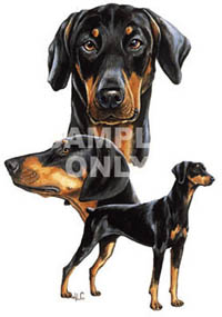 T-shirt i barnstorlek med Dobermann