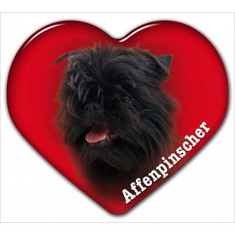 Dekal med Affenpinscher