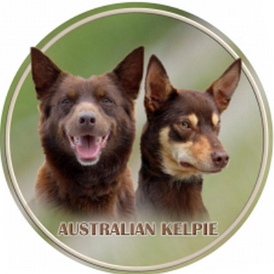 Dekal med Australian Kelpie