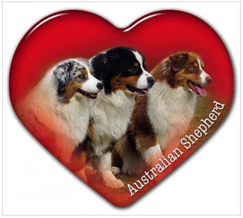 Dekal med Australian Shepherd