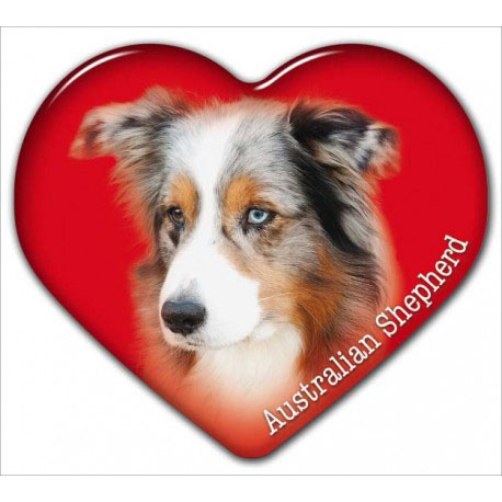 Dekal med Australian Shepherd