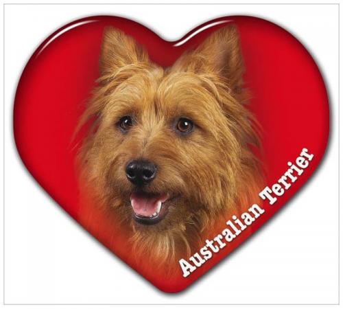 Dekal med Australisk Terrier