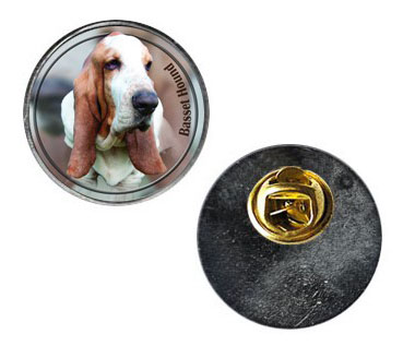 Pin med Basset Hound