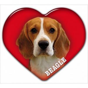 Dekal med Beagle